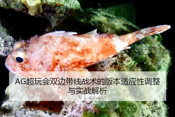 chao-wan-hui-shuang-bian-dai-xian-zhan-shu-de-ban-ben-shi-ying-xing-tiao-zheng-yu-shi-zhan-jie-xi-3-379.jpg